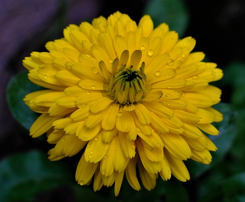 Photo by iftikhar malik