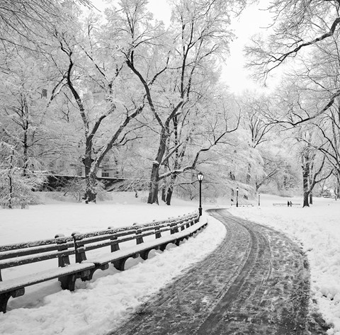 Photo by BrentSchumer