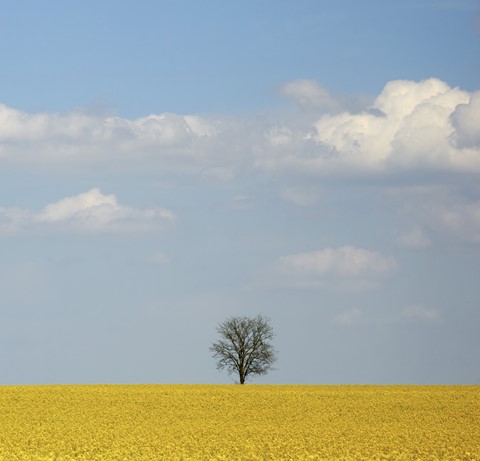 Photo by Brightrider