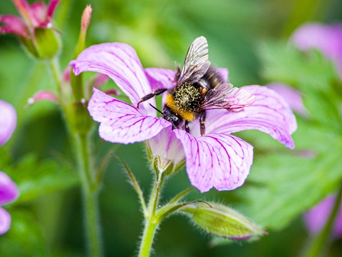 Photo by hectorpatrick