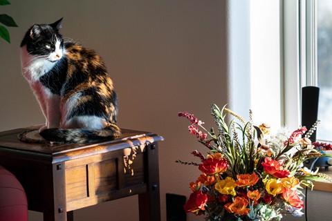 Photo by Richard Carande