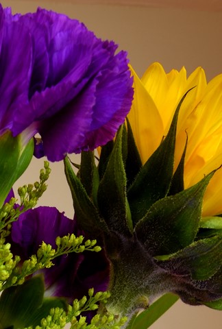 Photo by RANDY WISCH