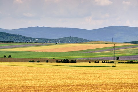 Photo by Brightrider