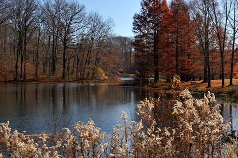 Photo by RANDY WISCH