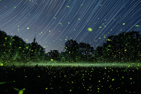 Photo by imarollingstone