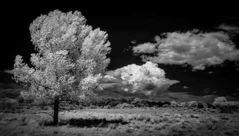 Photo by iChoseThisNameSinceAllGoodOnesTaken