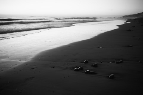 Photo by Great Bustard