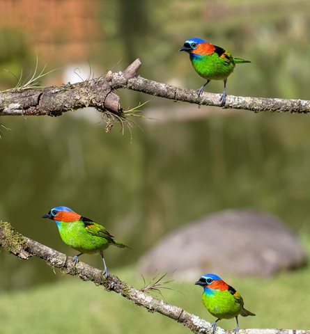 Photo by itamarcampos