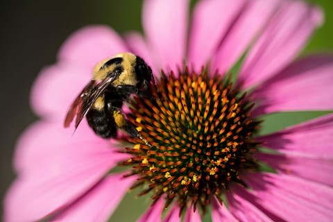 Photo by MFranko_734