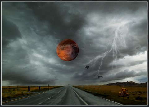 Photo by Madeleine Hart