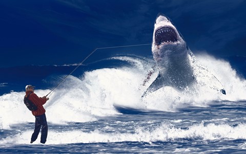 Photo by Rodger in Edmonton