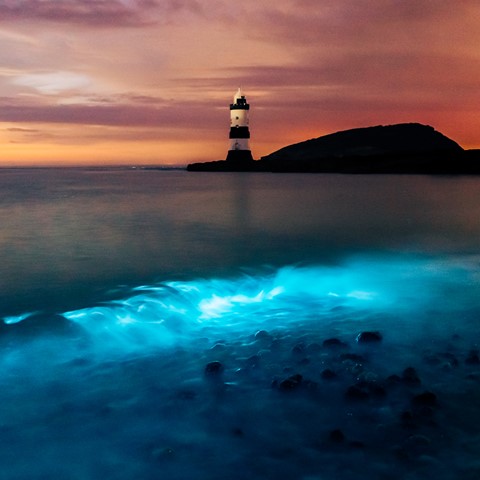 Photo by pixelationX