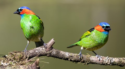 Photo by itamarcampos