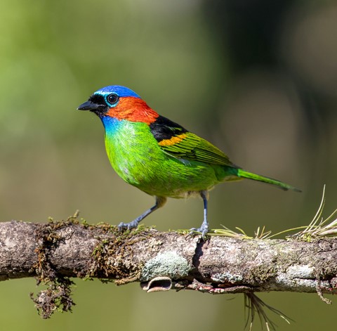 Photo by itamarcampos