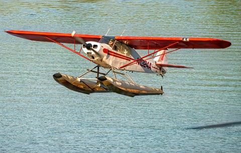 Photo by TX Photo Doc