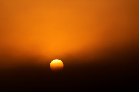 Photo by DieterTaipan