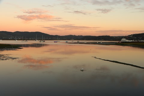 Photo by Andre van Tonder