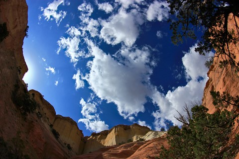 Photo by abiquiuense