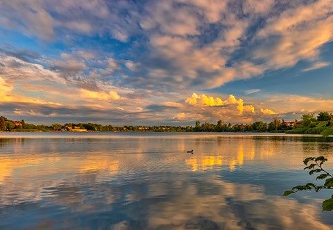 Photo by Dan Voyager