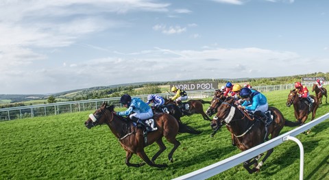 Photo by Trevor Carpenter