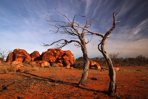 Photo by Jill Hancock