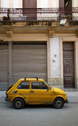 Photo by Miguel Mealha