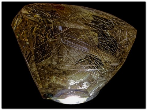 Photo by Great Bustard