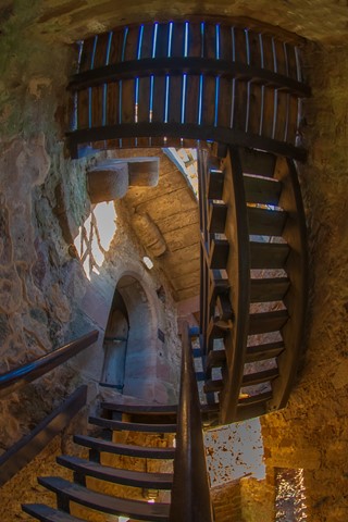 Photo by Jorge Oliver