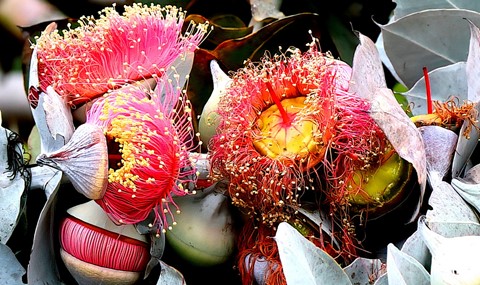 Photo by Shiann Yang