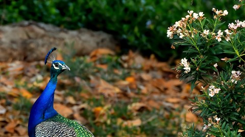 Photo by Shiann Yang