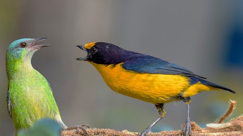 Photo by itamarcampos