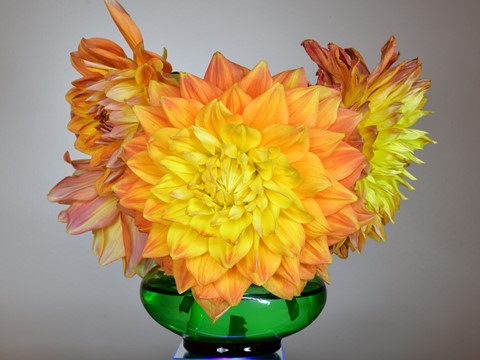 Photo by RANDY WISCH