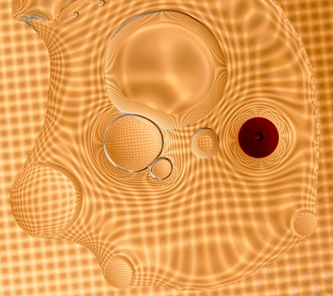 Photo by User8712594820