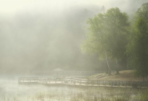 Photo by Thick fog in the Green Lakes