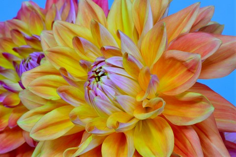 Photo by FRESHLY CUT