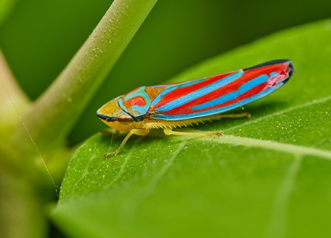 Photo by BrentSchumer