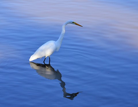 Photo by Nelson Matt_BR