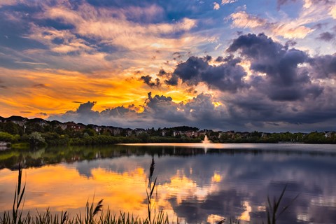 Photo by Dan Voyager