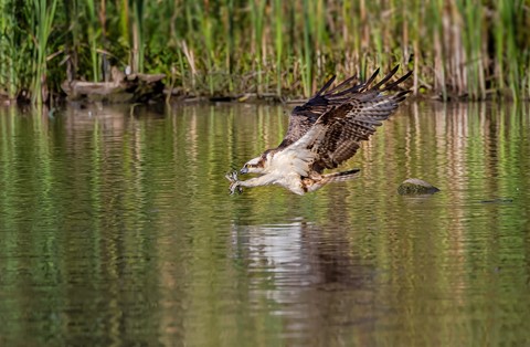 Photo by Dan Voyager