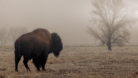 Photo by FriendofLight