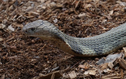 Photo by Deadfisheye