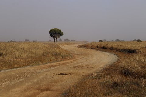 Photo by Jill Hancock