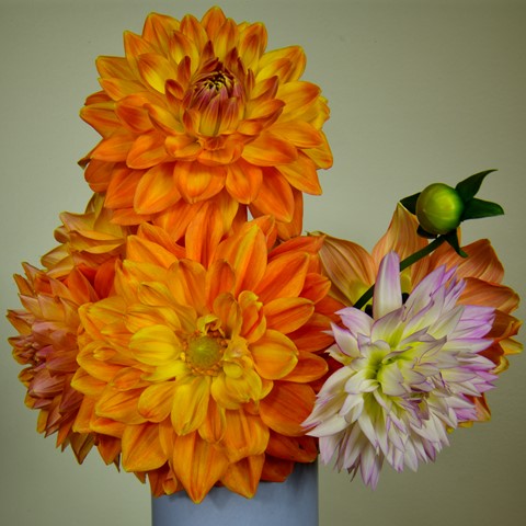 Photo by RANDY WISCH