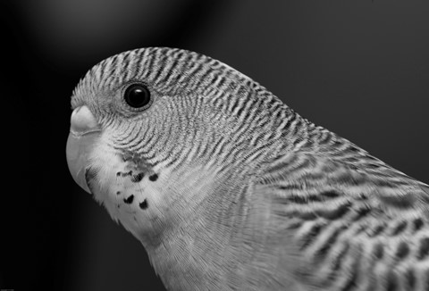 Photo by lickity split