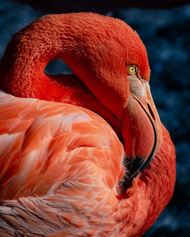 Photo by GaryTheBadger