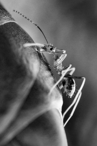 Photo by Larawanista