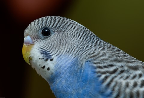 Photo by lickity split