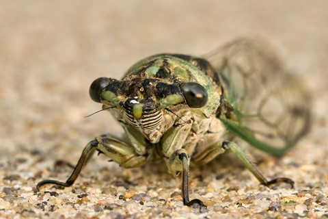 Photo by mreservices