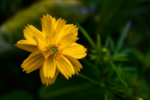 Photo by Larawanista