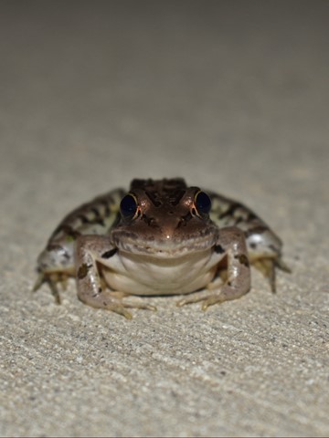 Photo by Newtothisphotothing